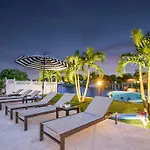 Tropical Palms House
