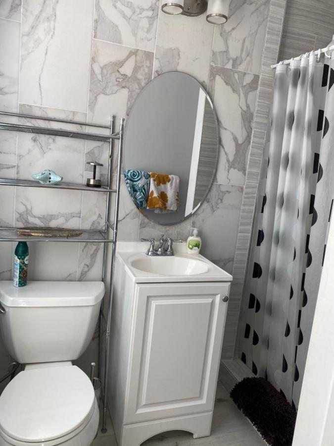Cozy Studio Near Atlantic Ave W/private Patio Apartment