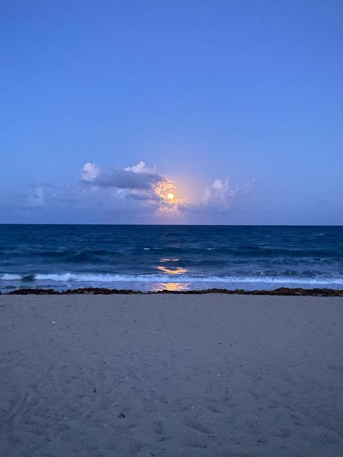 Cozy Studio Near Atlantic Ave W/private Patio Delray Beach