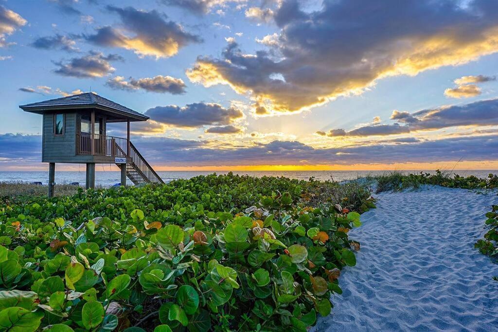 Tropical Palms House *