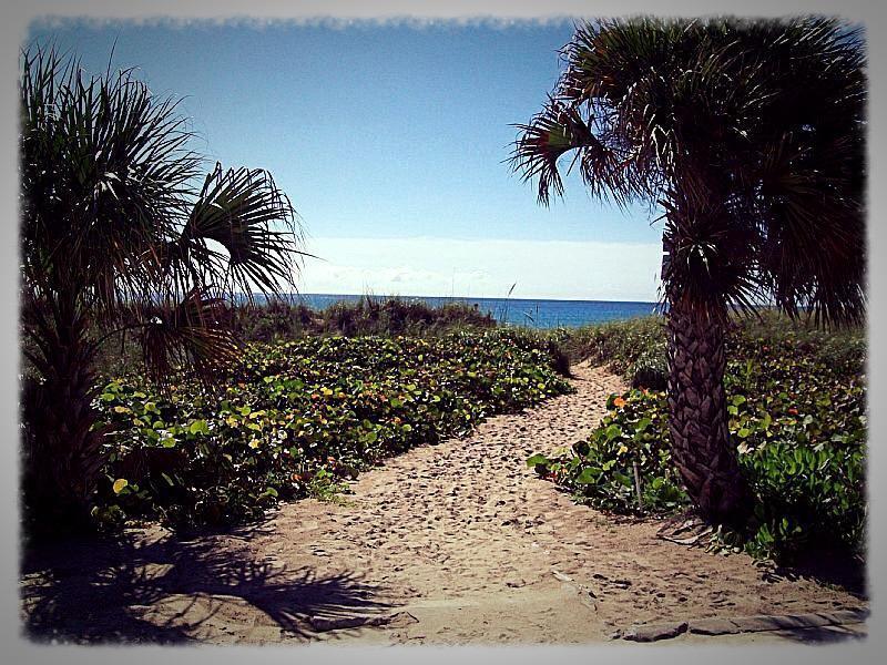 Berkshire By The Sea 3* Delray Beach