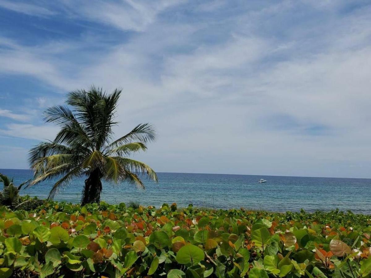 Beautiful Spacious And Luxury Delray House! Near The Beach! *