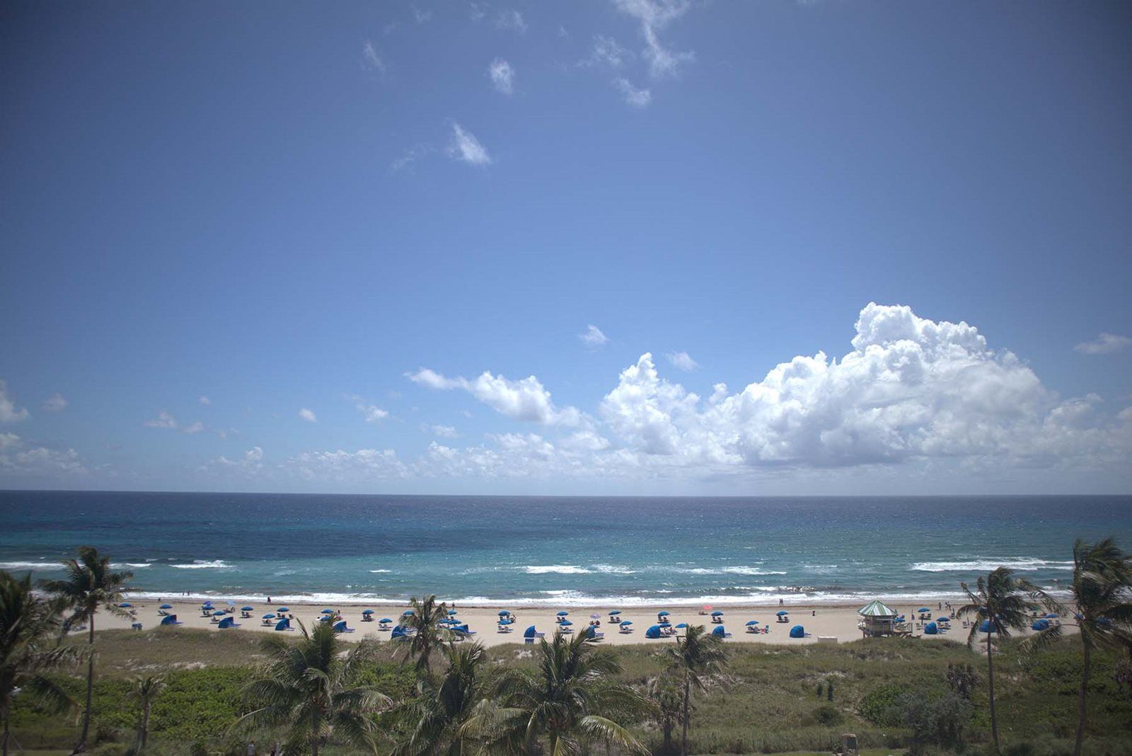 Opal Grand Oceanfront &