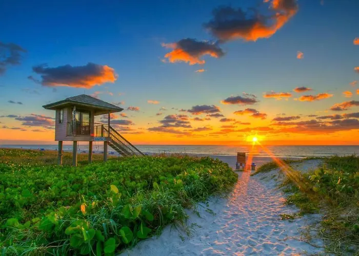 Walk To The Avenue And The Beach