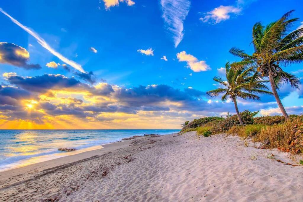 Private Tiny House For 1 Or 2 Near Downtown Delray And Beach Delray Beach