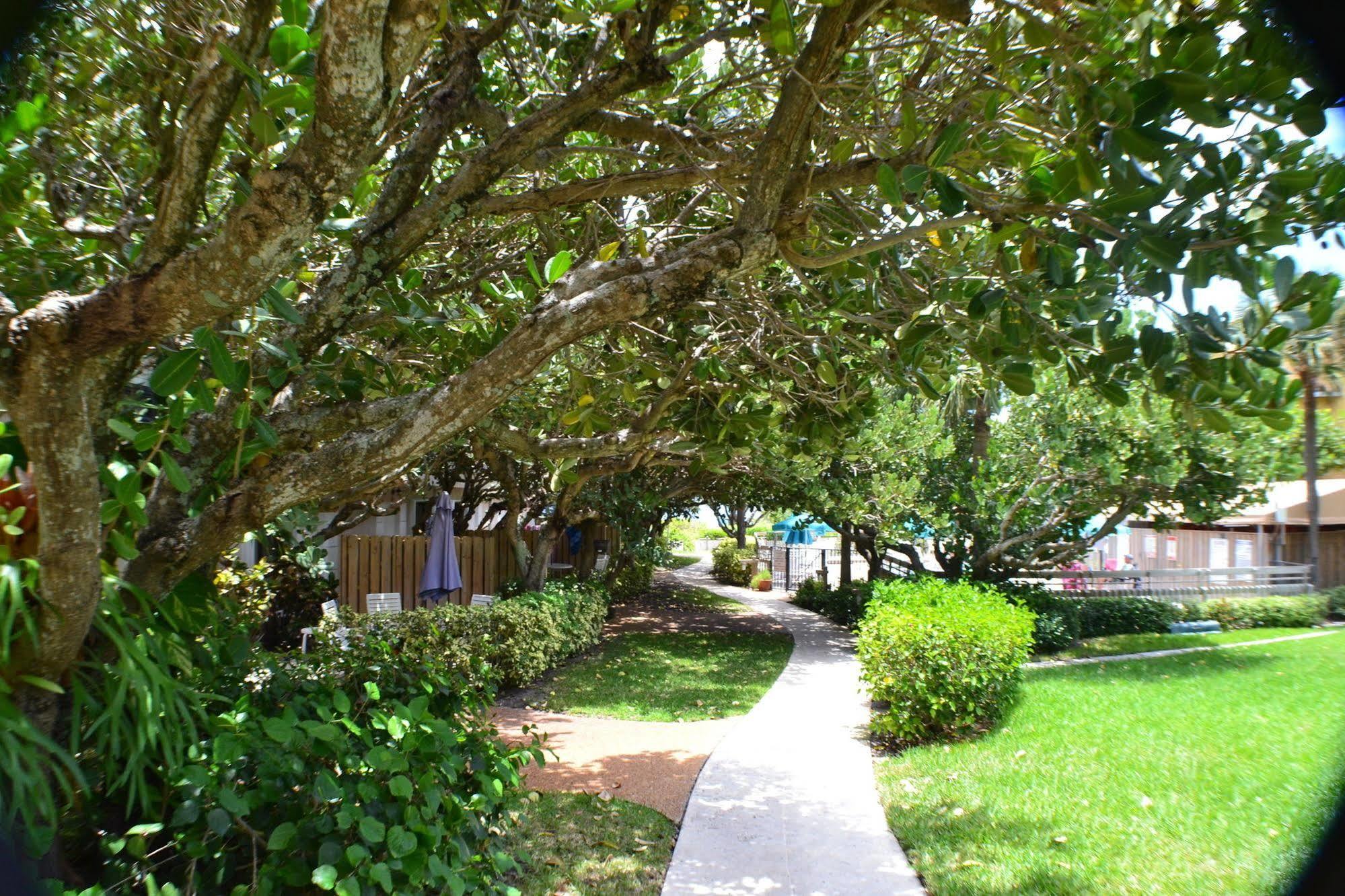 Apartment Delray South Shore Club